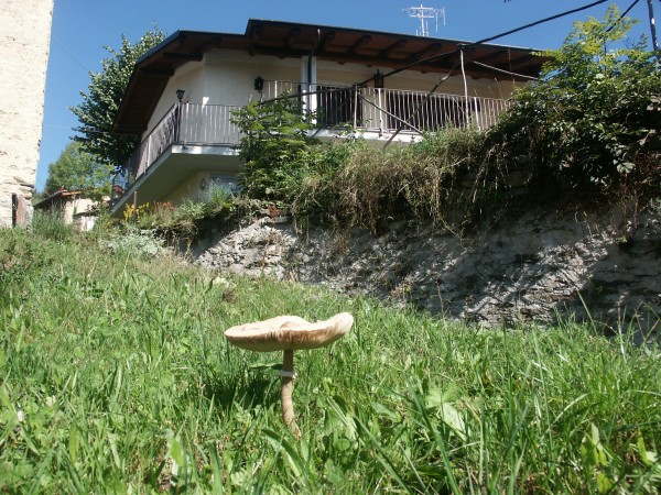 ../Images/Settembre 2005 038.jpg